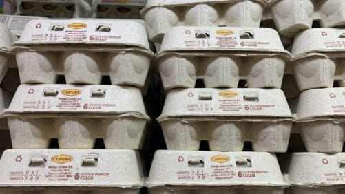 Argentina: enfocados en la exportación de huevos hacia 2025