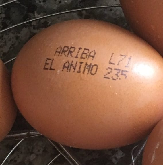 Reflexiones ‘oportunistas’ sobre el etiquetado del huevo