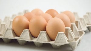 Lanzan primer sistema de créditos para huevos libres de jaula