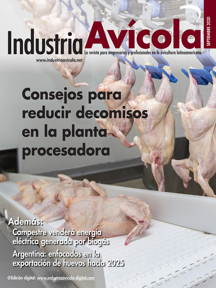 Magazine