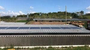 Integrados catrachos del pollo se pasan a energía solar