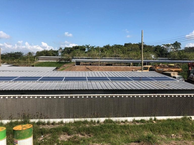 Integrados catrachos del pollo se pasan a energía solar