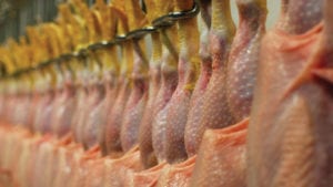 Consumo de pollo en Colombia se mantendrá en 35.6 kilos