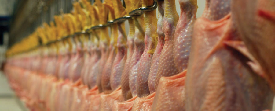 Consumo de pollo en Colombia se mantendrá en 35.6 kilos