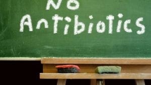 Sector avícola español redujo en 95% el uso de antibióticos