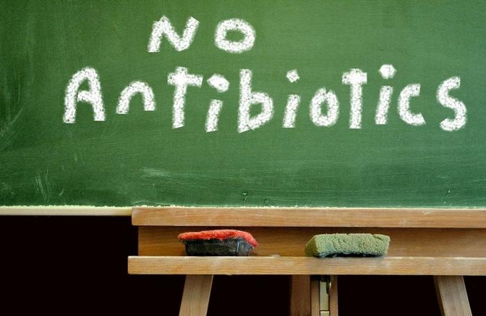 Investigadores extraen antibióticos de productos animales