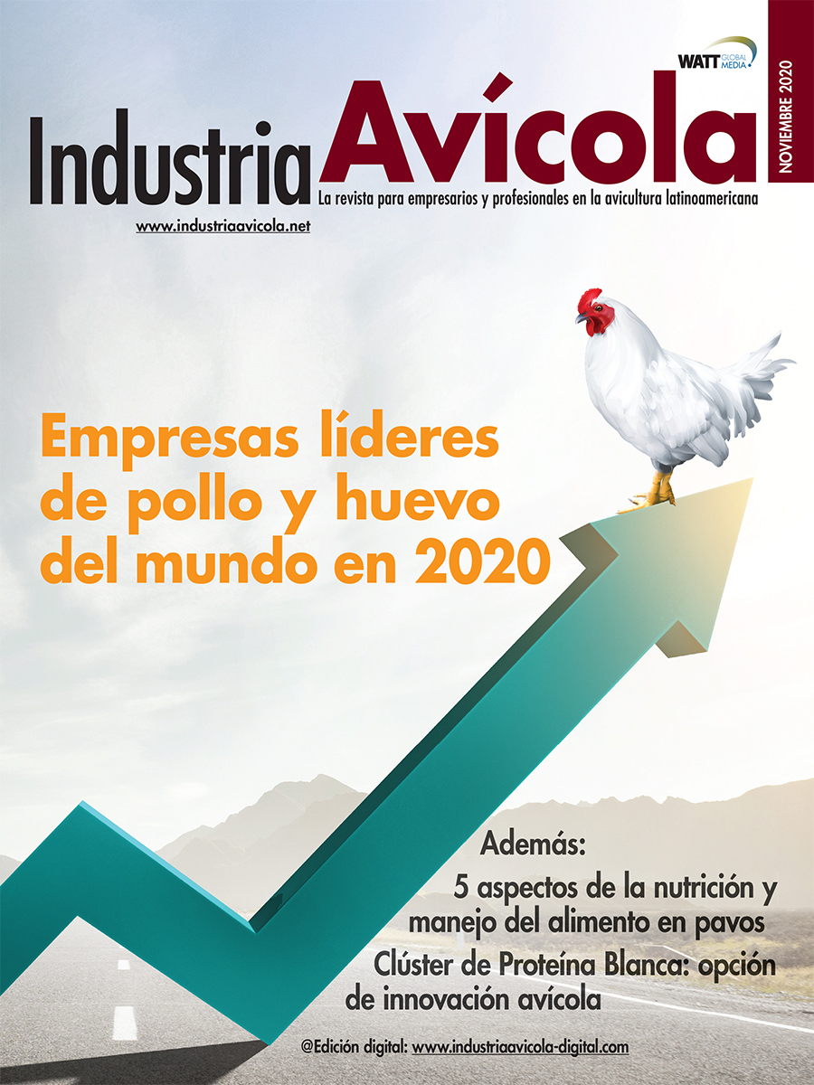 Magazine