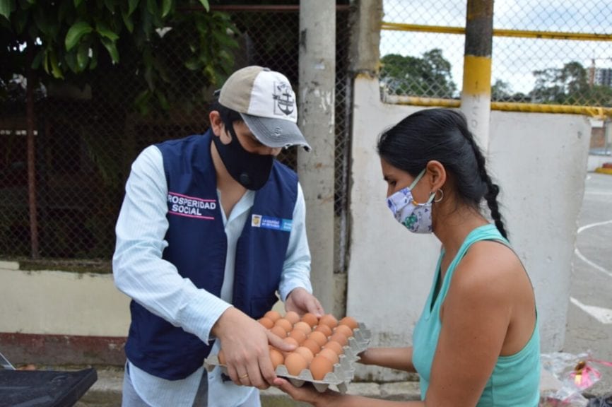 Grupo Bios consolida operación avícola en el Tolima
