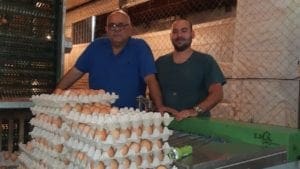 Pymes paraguayas de huevo crean nuevo gremio: la APPPH