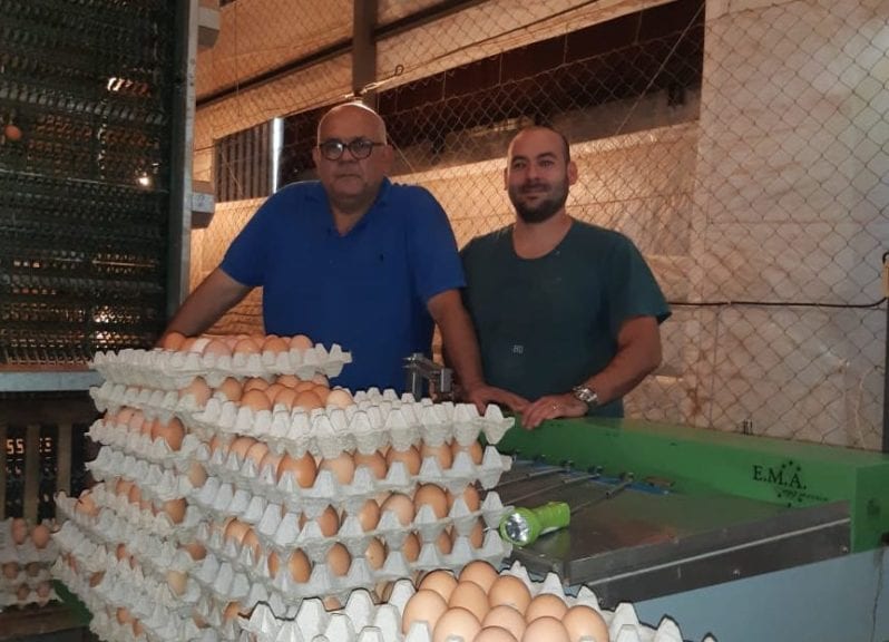 Pymes paraguayas de huevo crean nuevo gremio: la APPPH