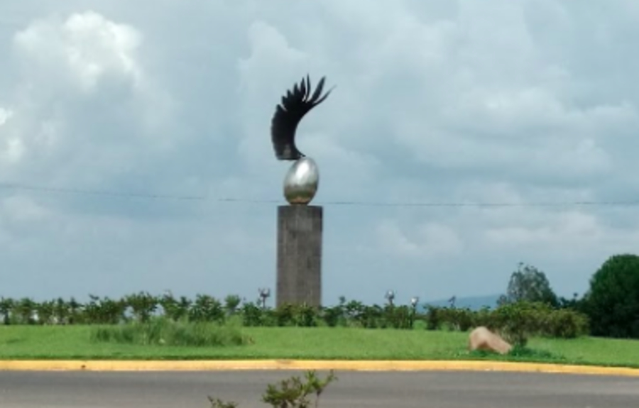 Producción avícola de Jalisco en el contexto latinoamericano