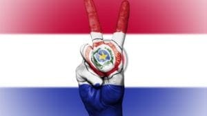 Paraguay: ¿cuánto le falta para exportar pollo en grande?